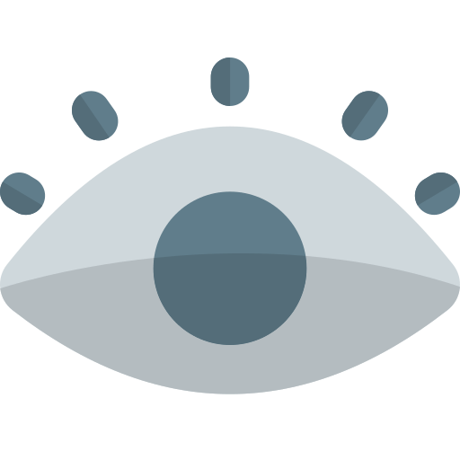 vision